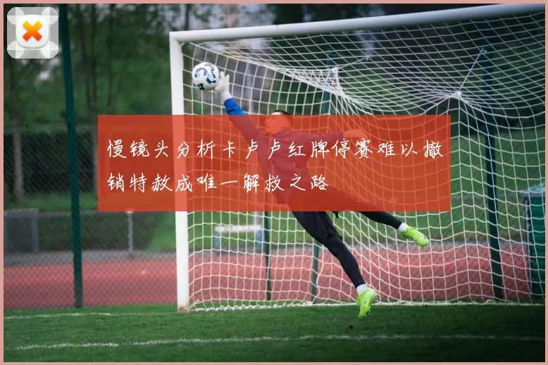 慢镜头分析卡卢卢红牌停赛难以撤销特赦成唯一解救之路