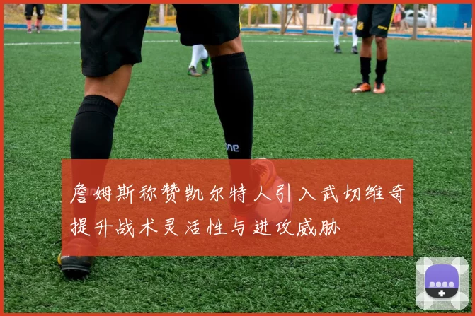 詹姆斯称赞凯尔特人引入武切维奇提升战术灵活性与进攻威胁